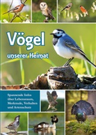 garant Verlag GmbH, garan Verlag GmbH, garant Verlag GmbH - Vögel unserer Heimat