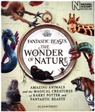 Natural History Museum - Fantastic Beasts: The Wonder of Nature