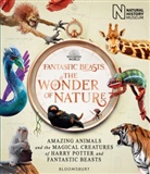 Natural History Museum, Natural History Museum - Fantastic Beasts: The Wonder of Nature