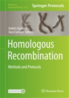 Andre Aguilera, André Aguilera, Andres Aguilera, Andrés Aguilera, Carreira, Carreira... - Homologous Recombination