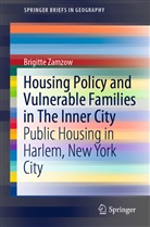 Brigitte Zamzow - Housing Policy and Vulnerable Families in The Inner City