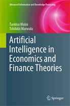 Tshilidzi Marwala, Tankis Moloi, Tankiso Moloi, Molo Tankiso, Moloi Tankiso, Marwala Tshilidzi - Artificial Intelligence in Economics and Finance Theories