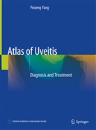 Peizeng Yang - Atlas of Uveitis