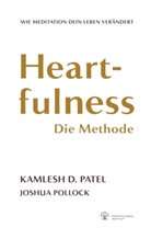 Kamlesh Patel, Kamlesh D Patel, Kamlesh D. Patel, Joshua Pollock, Heartfulness Institut e. V., Heartfulness Institut e.V.... - Heartfulness - Die Methode
