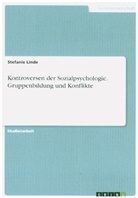 Stefanie Linde - Kontroversen der Sozialpsychologie. Gruppenbildung und Konflikte