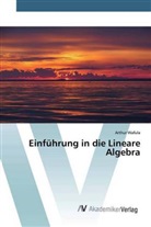 Arthur Wafula - Einführung in die Lineare Algebra