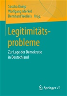 Sascha Kneip, Wolfgan Merkel, Wolfgang Merkel, Bernhard Weßels - Legitimitätsprobleme