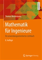 Thomas Westermann - Mathematik für Ingenieure