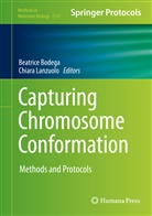 Beatric Bodega, Beatrice Bodega, Lanzuolo, Lanzuolo, Chiara Lanzuolo - Capturing Chromosome Conformation