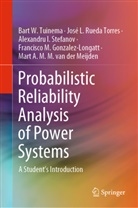 Francisco Gonzalez-Longatt, Francisco M. Gonzalez-Longatt, Mart A. M. M. van der Meijden, José Rueda Torres, José L Rueda Torres, José L. Rueda Torres... - Probabilistic Reliability Analysis of Power Systems