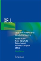 Motoki Iwasaki, Motoki Iwasaki et al, Yoshiharu Kawaguchi, Mori Matsumoto, Morio Matsumoto, Atsushi Okawa - OPLL