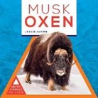 Jessie Alkire - Musk Oxen