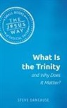 Steve Dancause - What Is the Trinity and Why Does It Matter?