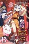 Kagiji Kumanomata, Kagiji Kumanomata - Sleepy princess vol 13