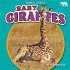 Spencer Brinker - Baby Giraffes