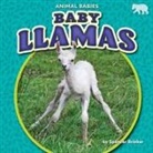 Spencer Brinker - Baby Llamas
