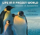 Mary Batten, Thomas Gonzalez, Thomas Gonzalez - Life in a Frozen World