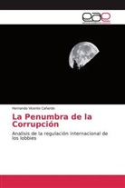 Hernando Vicente Cañardo - La Penumbra de la Corrupción