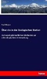Paul Mayer - Über die in der Zoologischen Station