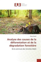 Elove Herard - Analyse des causes de la déforestation et de la dégradation forestière