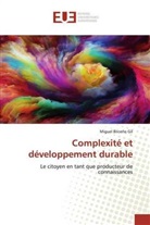 Miguel Briceño Gil - Complexité et développement durable