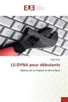 Qasim Shah - LS-DYNA pour débutants