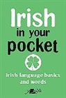 Y. Lolfa, Y Lolfa, Y. Lolfa - Irish in Your Pocket