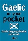 Y. Lolfa, Y Lolfa, Y. Lolfa - Gaelic in Your Pocket