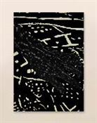Laura Grace Ford, Kristin Omarsdottir, Sofia Samatar, Can Xue, Jessica Yu, Francesca Wade - The White Review No.30