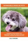 Lolly Brown - Schnoodle Dogs as Pets