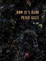 Peter Gizzi - Now It''s Dark