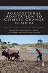 Cyndi Spindell Berck Berck, Peter (University of California Berkeley Berck, Peter Di Falco Berck, Cyndi Berck Spindell Berck, Cyndi Spindell Berck, Peter Berck... - Agricultural Adaptation to Climate Change in Africa