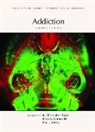 Paul J Kenny, Paul J (Icahn School of Medicine at Mount Sinai) Kenny, Paul J. Kenny, R Christopher Pierce, R. Christopher Pierce, Ellen Unterwald... - Addiction, Second Edition