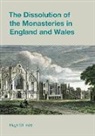 Hugh Willmott - The Dissolution of the Monasteries in England and Wales