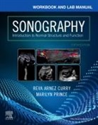 Curry, Prince, Reva Arnez Curry, Reva Arnez (Executive Director of Community Partnerships Curry, Curry Reva Arnez, Marilyn Prince - Workbook and Lab Manual for Sonography