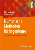 Bilen Eme Abali, Bilen Emek Abali, Celal Çak¿ro¿lu, Celal Cakiroglu, Celal Çakiroglu - Numerische Methoden für Ingenieure