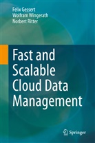 Feli Gessert, Felix Gessert, Norbert Ritter, Wolfra Wingerath, Wolfram Wingerath - Fast and Scalable Cloud Data Management