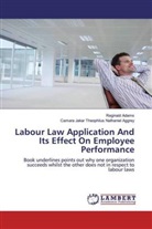 Reginal Adams, Reginald Adams, Camar Theophilus Nathaniel Aggrey, Camara Jakar Theophilus Nathaniel Aggrey - Labour Law Application And Its Effect On Employee Performance