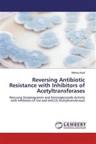 Marisa Azad - Reversing Antibiotic Resistance with Inhibitors of Acetyltransferases