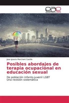 Jose Ignacio Marchant Castillo - Posibles abordajes de terapia ocupacional en educación sexual