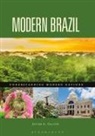 Javier Galvan, Javier A Galvan, Javier Galvßn - Modern Brazil