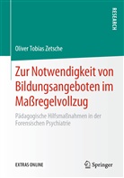 Oliver Tobias Zetsche - Zur Notwendigkeit von Bildungsangeboten im Maßregelvollzug