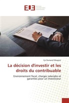 Cyr Dumand Dibagissi - La décision d'investir et les droits du contribuable