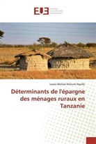 Isaack Michael Mchumi Nguliki - Déterminants de l'épargne des ménages ruraux en Tanzanie
