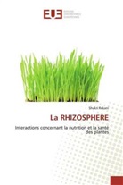 Shukri Rekani - La RHIZOSPHERE