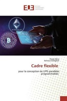 Pinak Mitra, Pinaki Mitra, Behrouz Zolfaghari - Cadre flexible