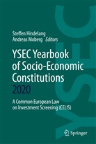Steffe Hindelang, Steffen Hindelang, Moberg, Moberg, Andreas Moberg - YSEC Yearbook of Socio-Economic Constitutions 2020