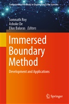 Elias Balaras, Ashok De, Ashoke De, Somnath Roy - Immersed Boundary Method