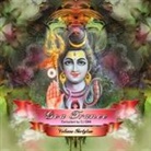 Various - Goa Trance. Vol.42, 2 Audio-CDs (Hörbuch)