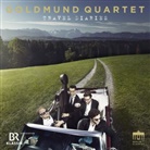 Goldmund Quartett - Travel Diaries, 1 Audio-CD (Audio book)